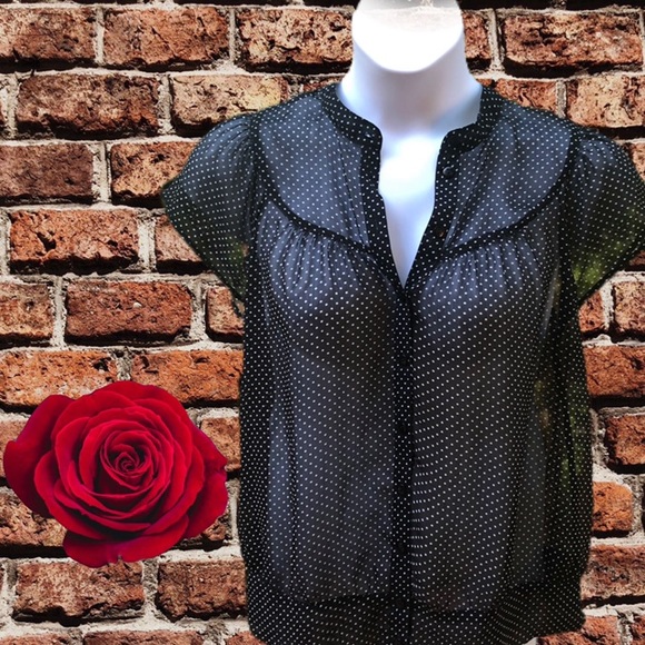 Apt. 9 Tops - SUPER CUTE SHEER APT 9 TOP